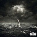 На гребне волны