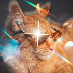 Милый кудряшка