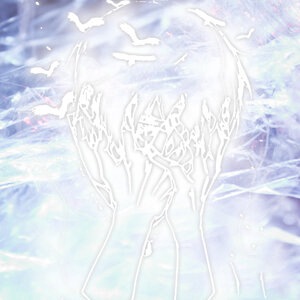 мои чувства