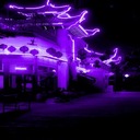 Летний Дождь