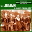 Идёт солдат