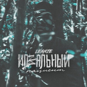 Идеальный пациент