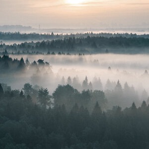 За два часа до