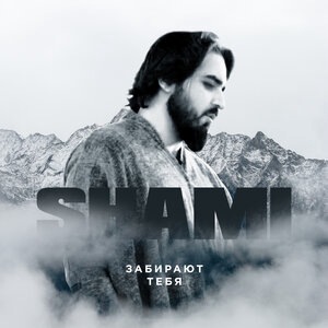 SHAMI 8