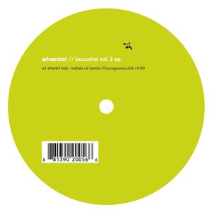 Диско партизаны