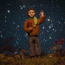 Долина папоротников