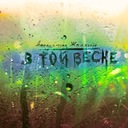 В той весне