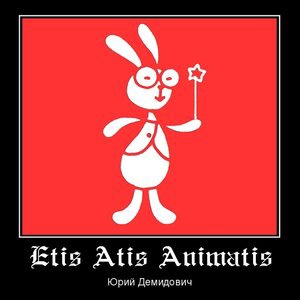 Волшебный Кролик