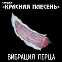 Бен Ладен в бегах