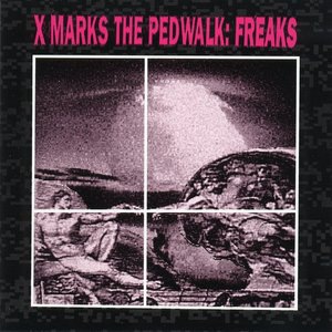 X Marks The Pedwalk 6