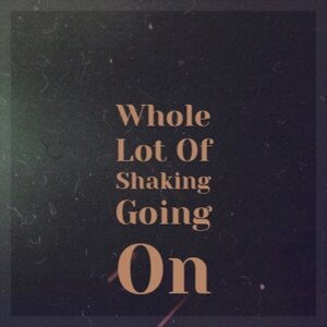 The Rockin' Vickers 1