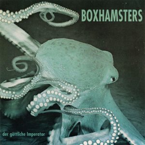 Boxhamsters 1
