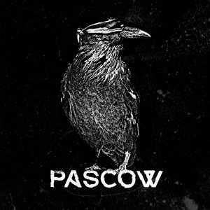 Pascow 7