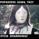 Życie Zmarnować