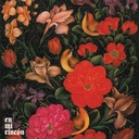 Entregar mi Opinión