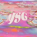 Y.S.G.