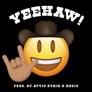 Yeehaw!