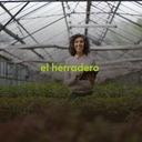 Yes I'm Lonesome Tonight