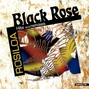 Black Rose 1