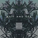 Wait and See