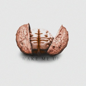 Wake Me Up