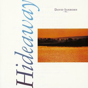 David Sanborn 1