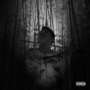 Wake The Fuck Up, Samurai