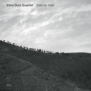 Elina Duni Quartet 1
