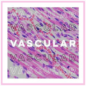 Vascular