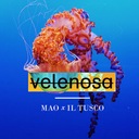 Velenosa