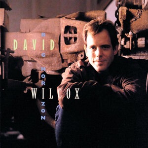 David Wilcox 24