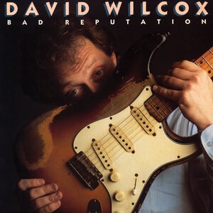 David Wilcox 20