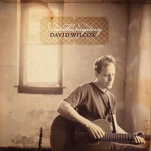 David Wilcox 17