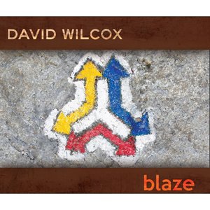 David Wilcox 16