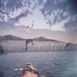 David Wilcox 14