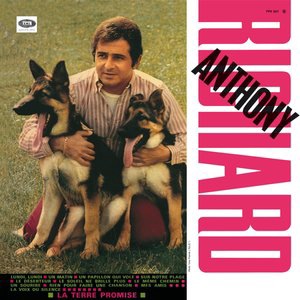 Un Papillon Qui Vole