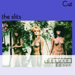 The Slits 4