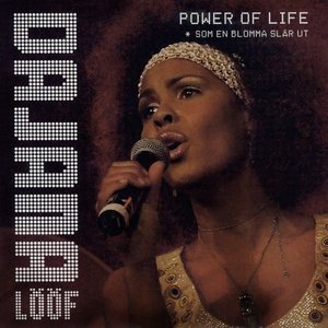 Som en blomma slår ut