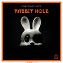 Rabbit Hole