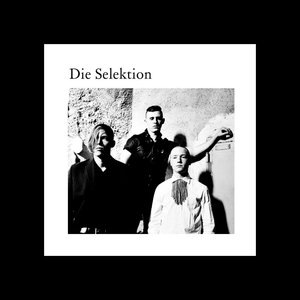 Die Selektion 1