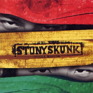 STONY SKUNK 1