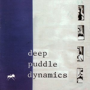 Deep Puddle Dynamics 1