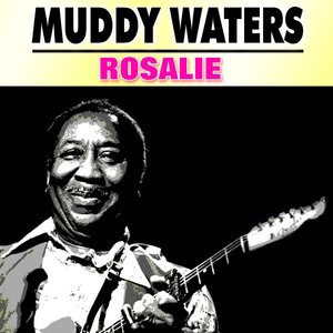 Muddy Waters 6