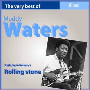 Muddy Waters 5