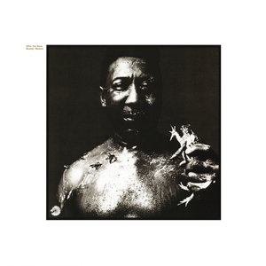 Muddy Waters 4