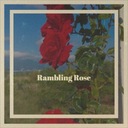 Rambling Rose