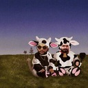 Foi na Ufsc Que Eu Vi