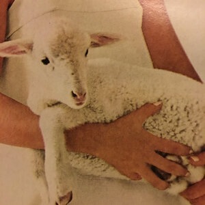 Paint Yourself a Saint