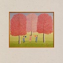 Don't Get Comfortable