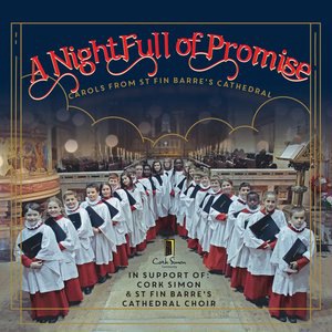 St Fin Barre's Cathedral Choir 1